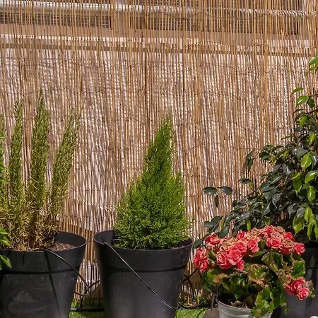 Appartement 2 Bedroom With Dream Balcony *
